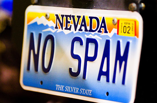 No Spam license plate
